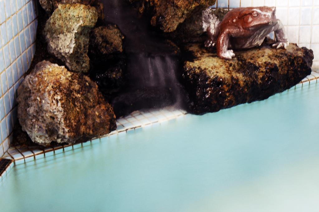 Ryokan Seizan-So Kaminoyama Oda fotoğraf